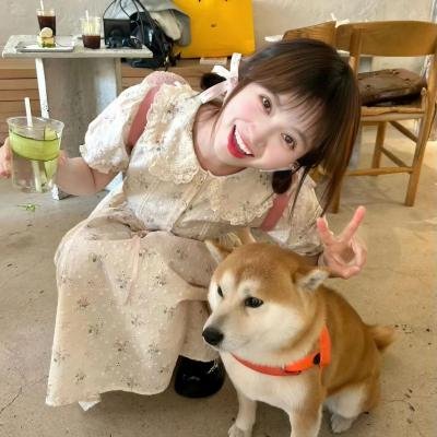 外壳